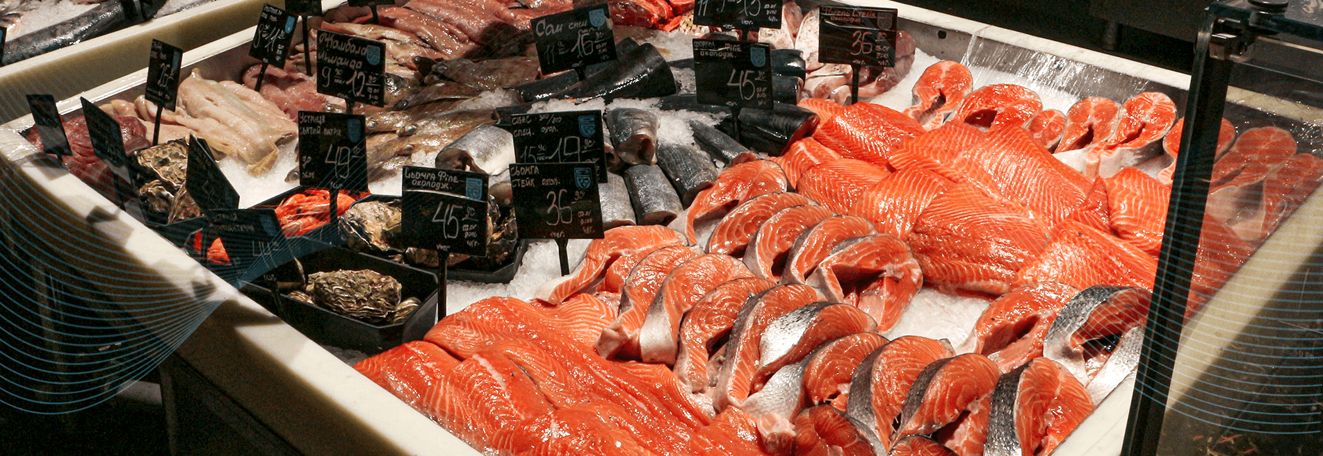 Ryby ułożone na lodzie
